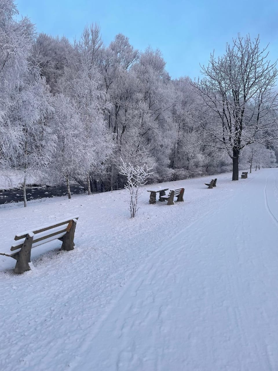 Natural landscape, Winter