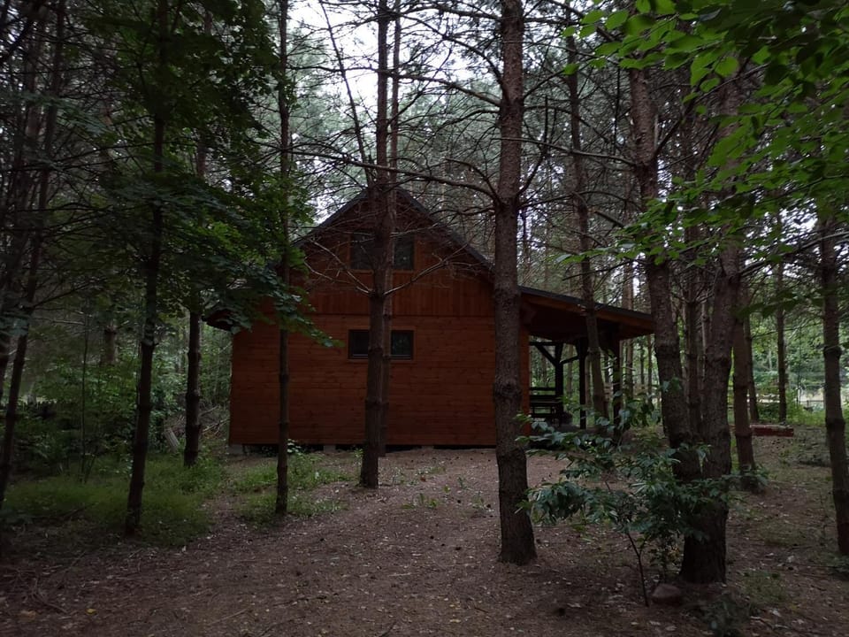 Domek letniskowy Marksewo Łoś House in Poland