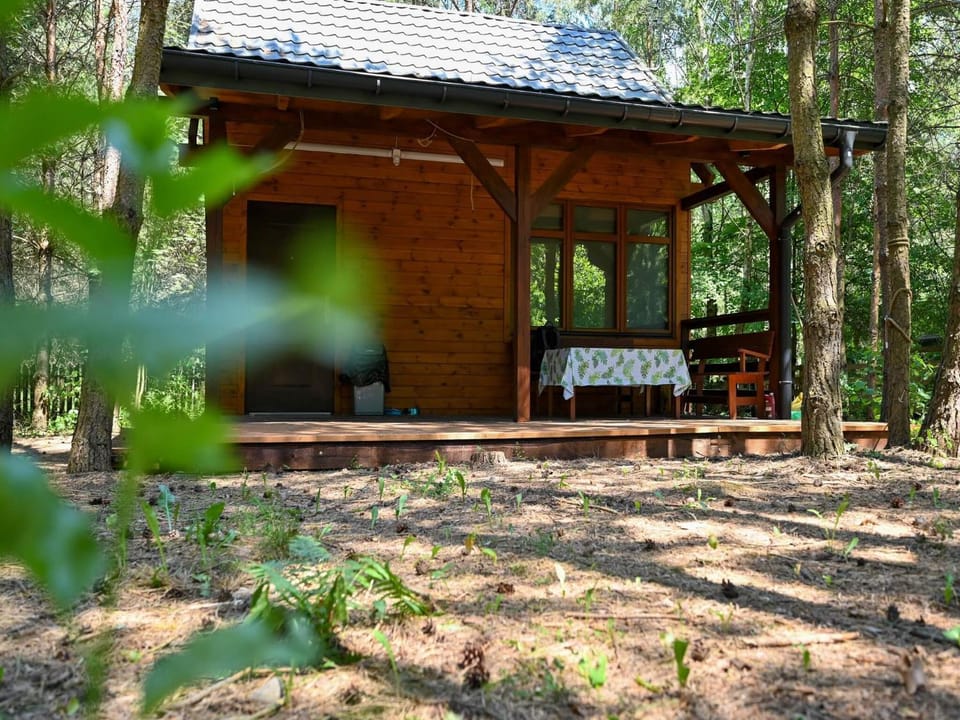 Domek letniskowy Marksewo Łoś House in Poland