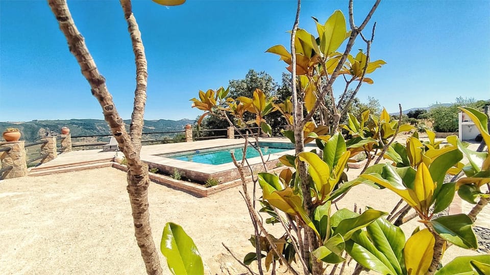 Natural landscape, Garden view, Pool view, Swimming pool, sunbed