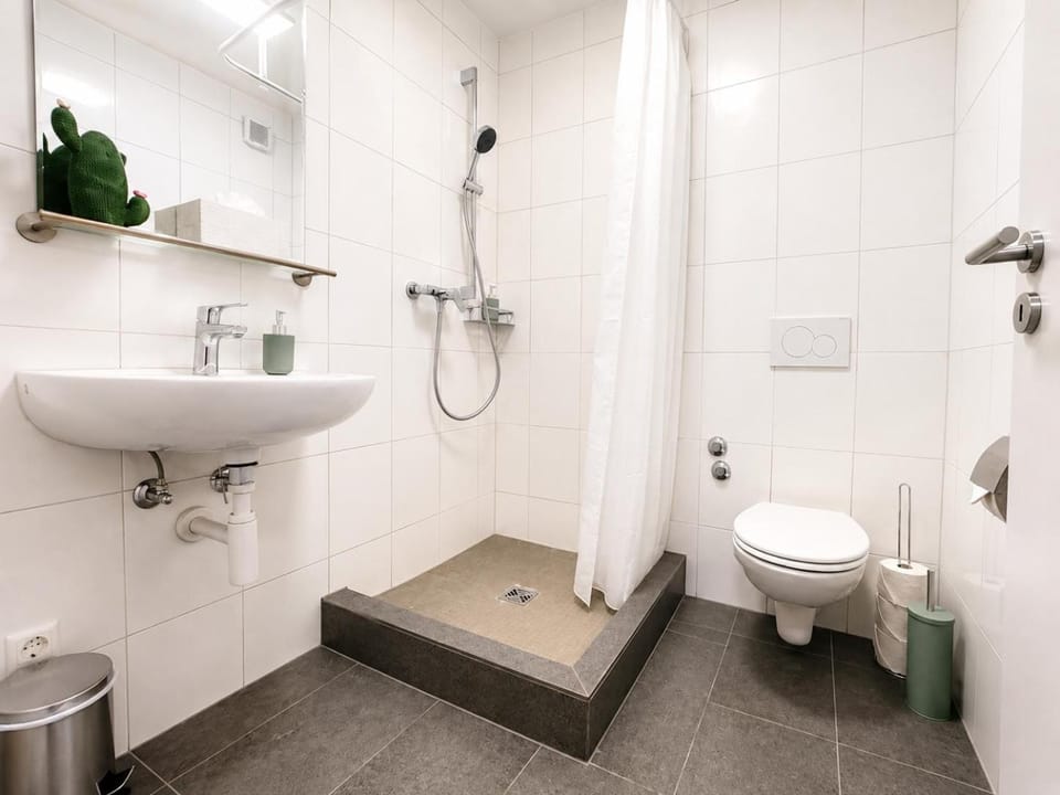 Shower, Toilet