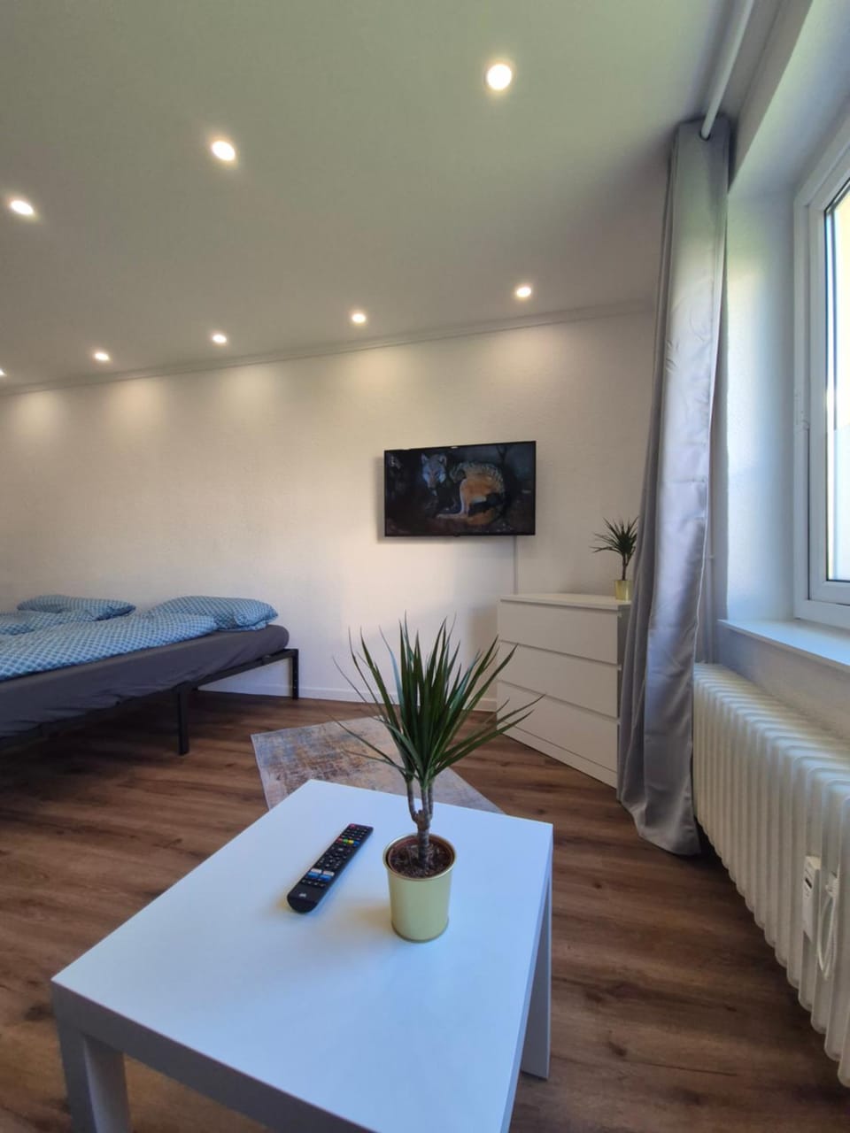 Communal lounge/ TV room, TV and multimedia, Living room