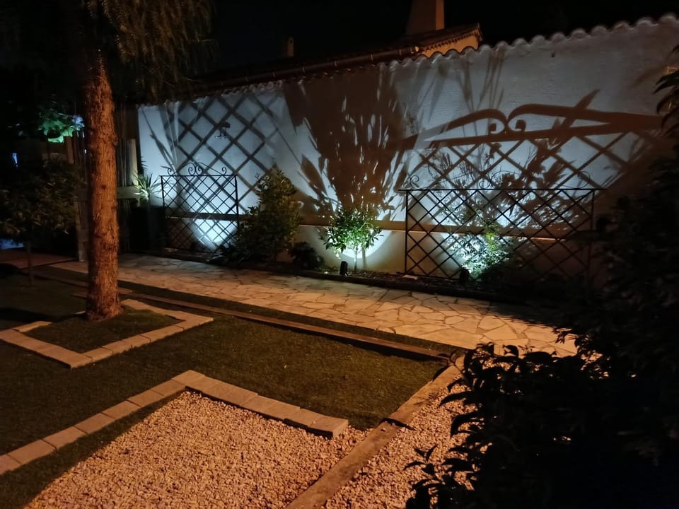 Night, Garden, Garden view