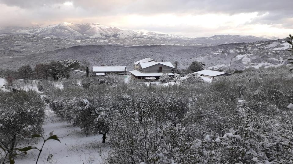Natural landscape, Winter
