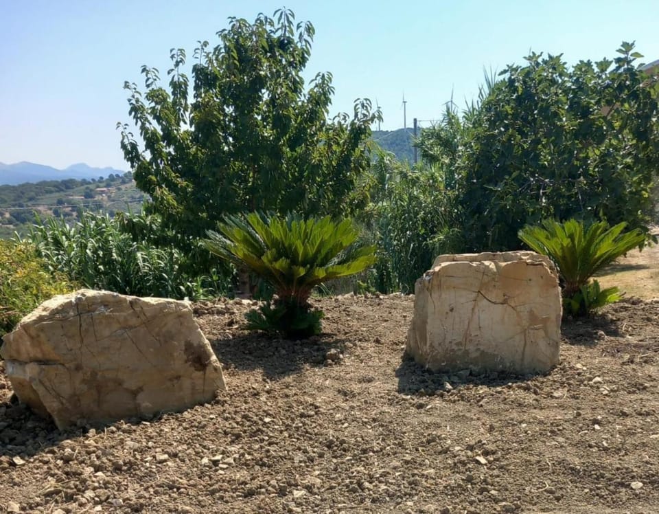 Natural landscape, Garden view