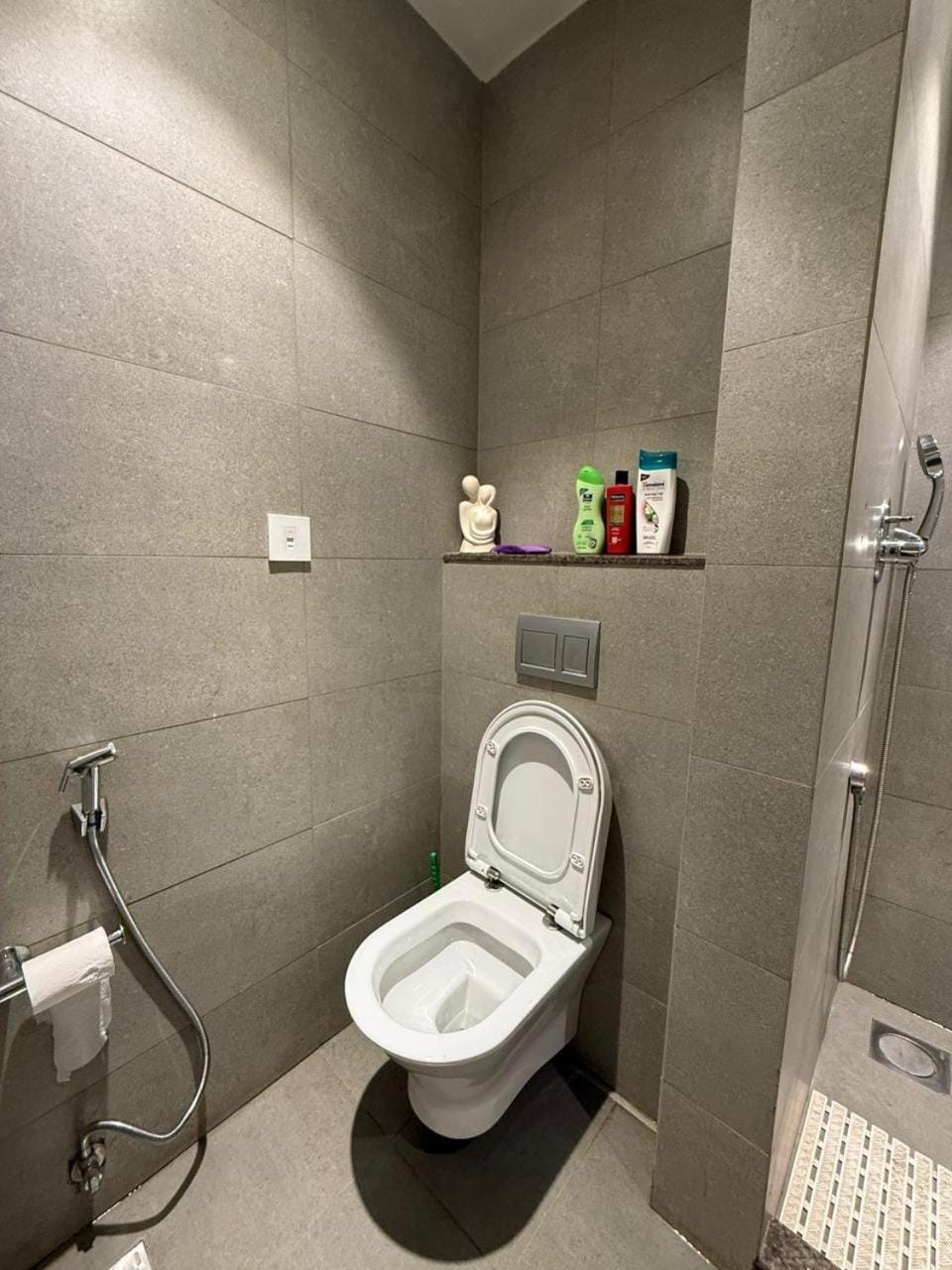Aipl Joy street 2 Apartment in Gurugram