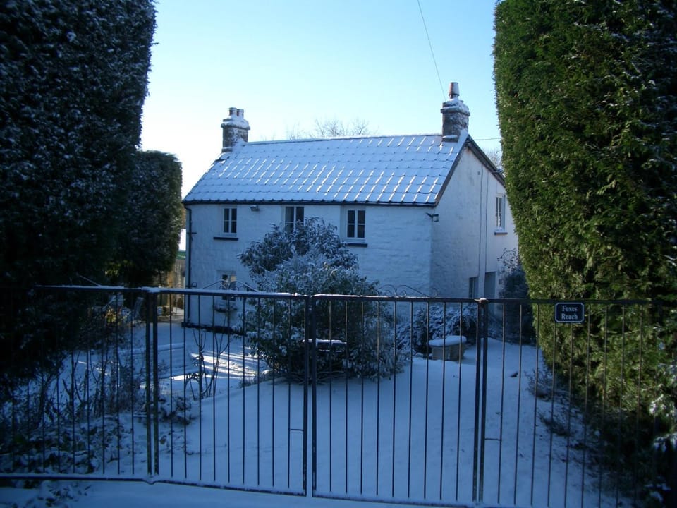 Property building, Winter, Garden