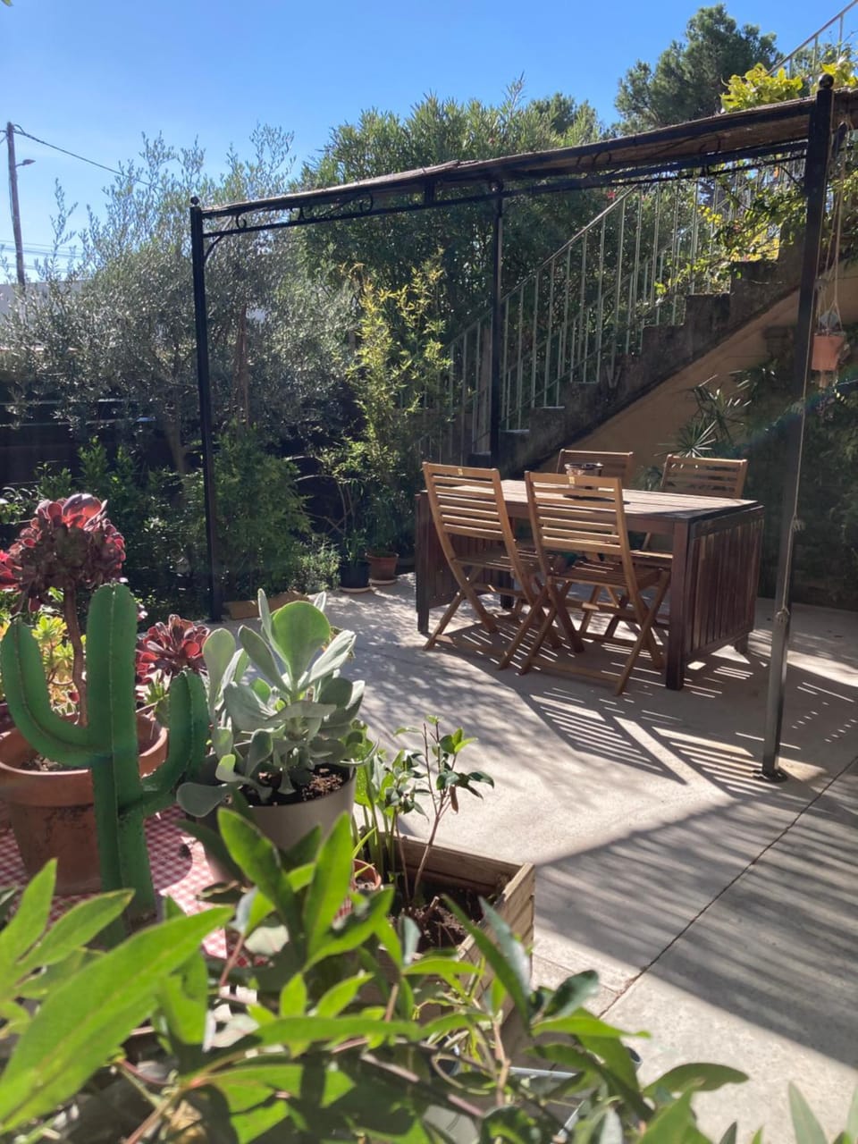 Patio, Garden