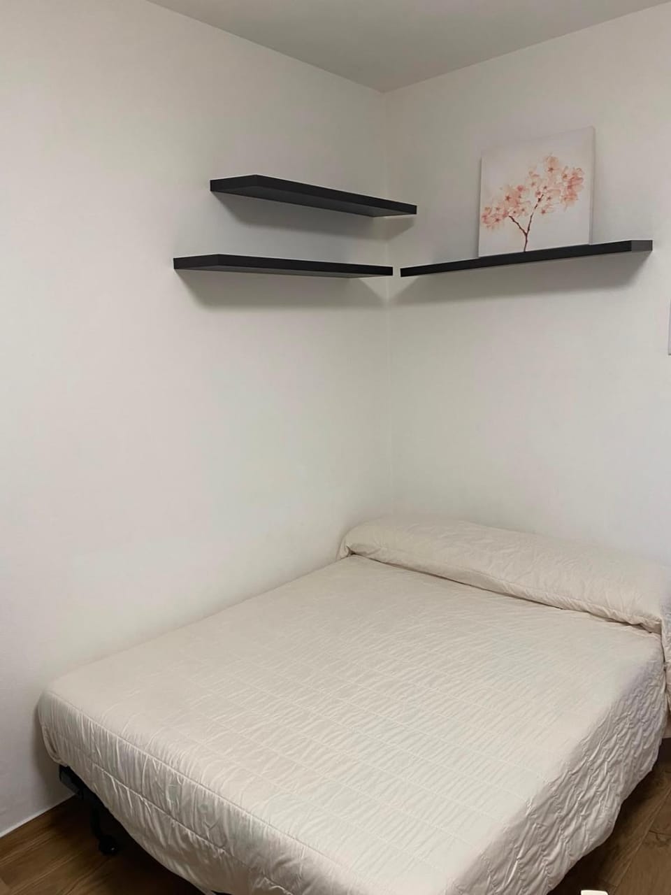 La Casa dei Ciliegi Apartment in Emilia-Romagna