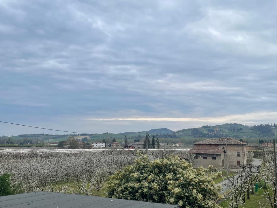 Spring, View (from property/room), Garden view