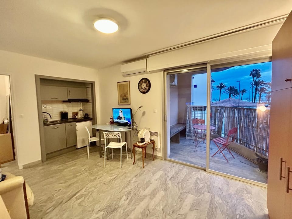 Antibes France Plage Apartment in Antibes