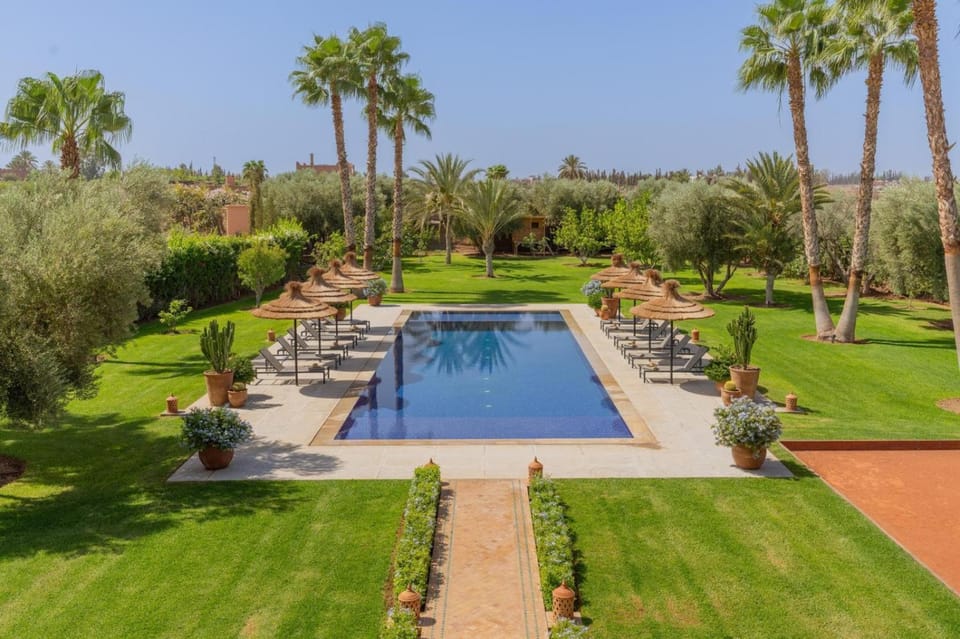 Patio, Garden, Garden, Garden view, Swimming pool, sunbed
