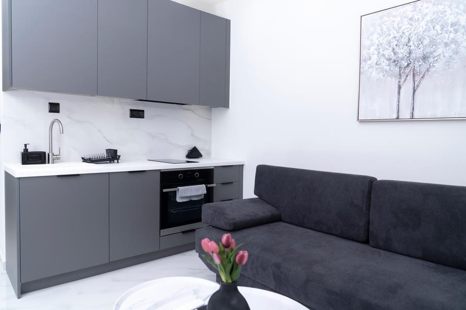 Coffee/tea facilities, Living room, dishwasher, heating, heating, kitchen, kitchen, air conditioner, air conditioner