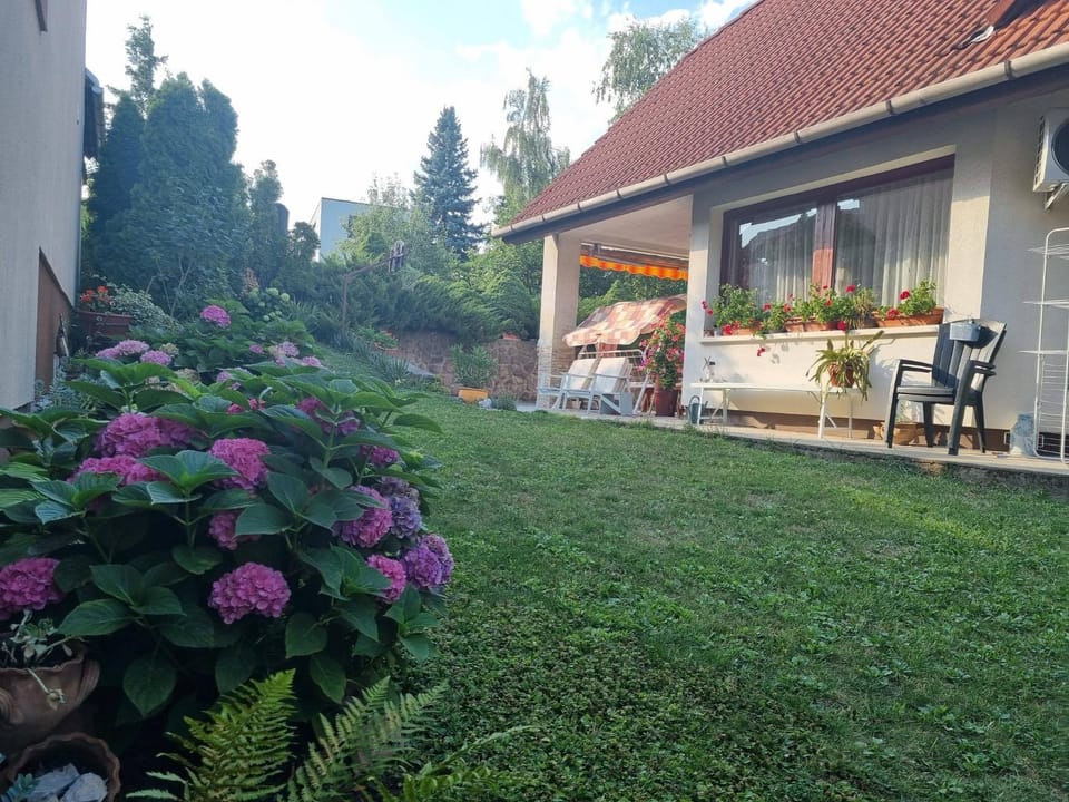 Property building, Garden, Garden view