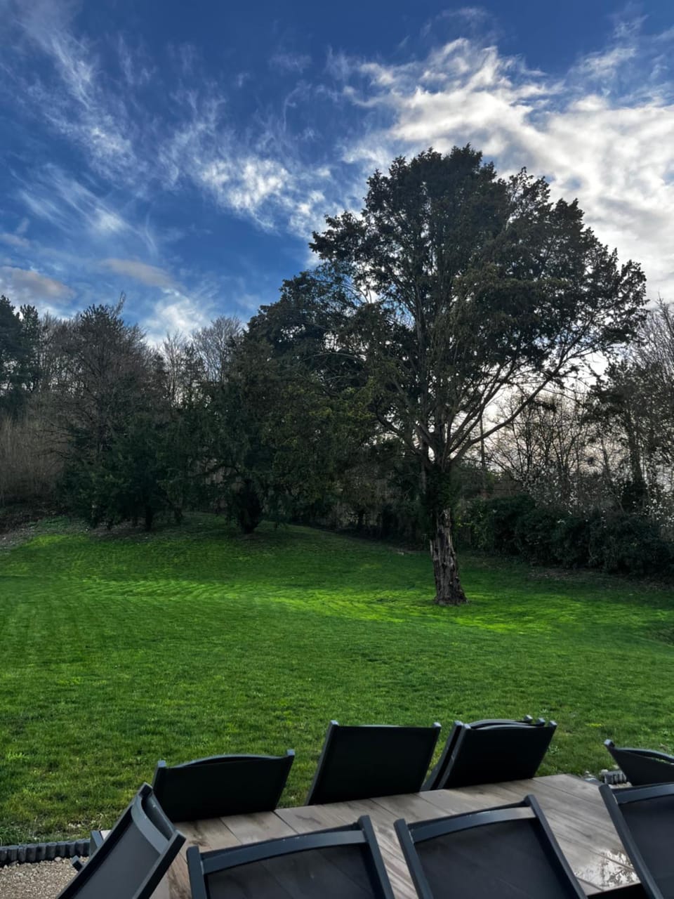 Garden view