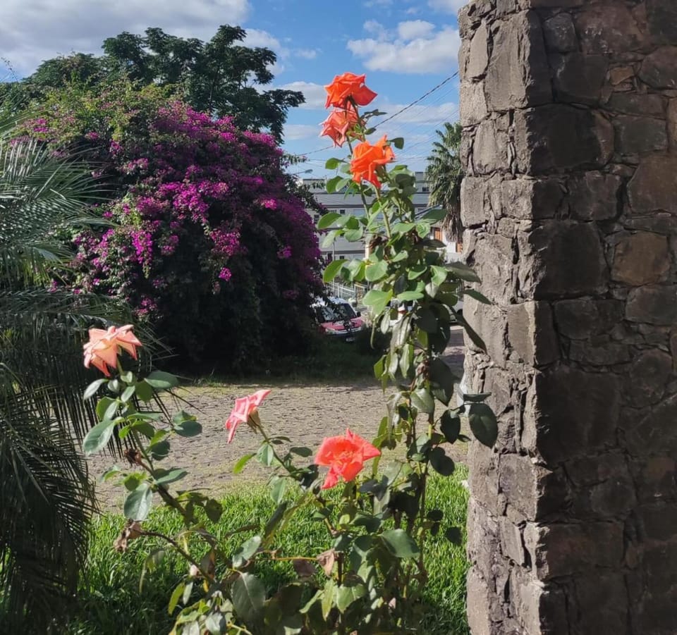 Garden, Quiet street view