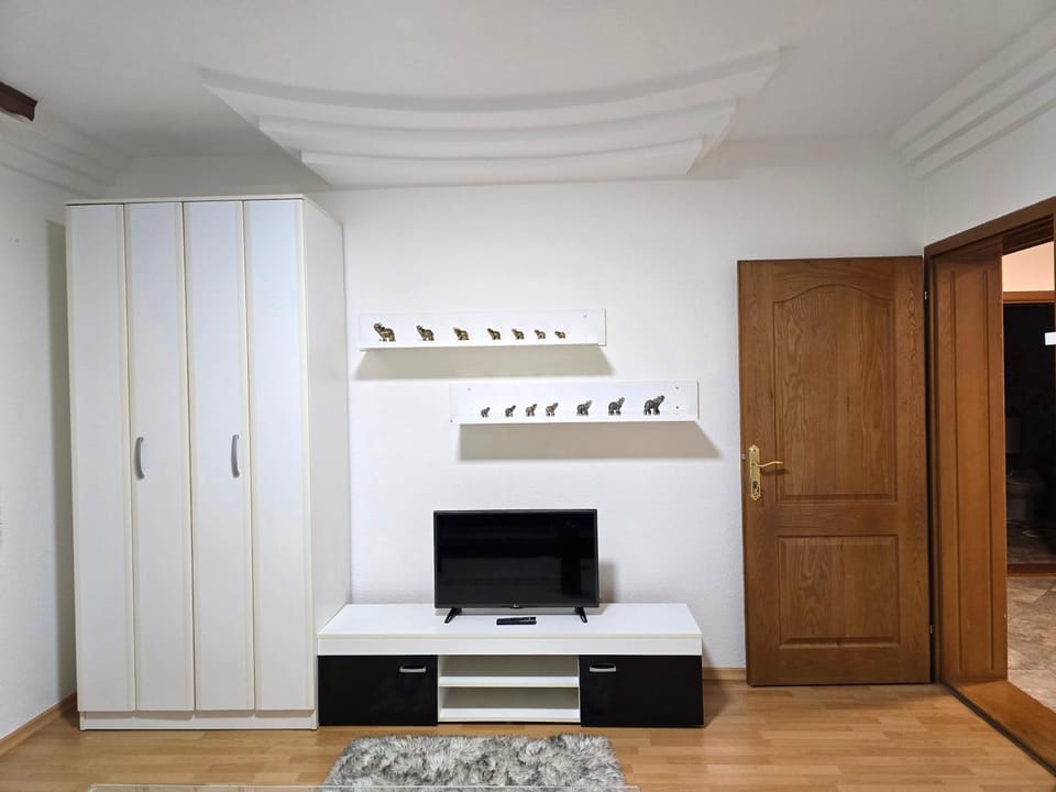 Teo FAMILY APARTMENT TUZLA Apartment in Federation of Bosnia and Herzegovina