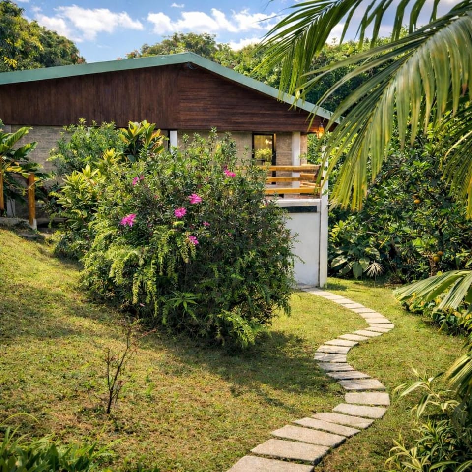 Studio Anthurium Apartment in Martinique