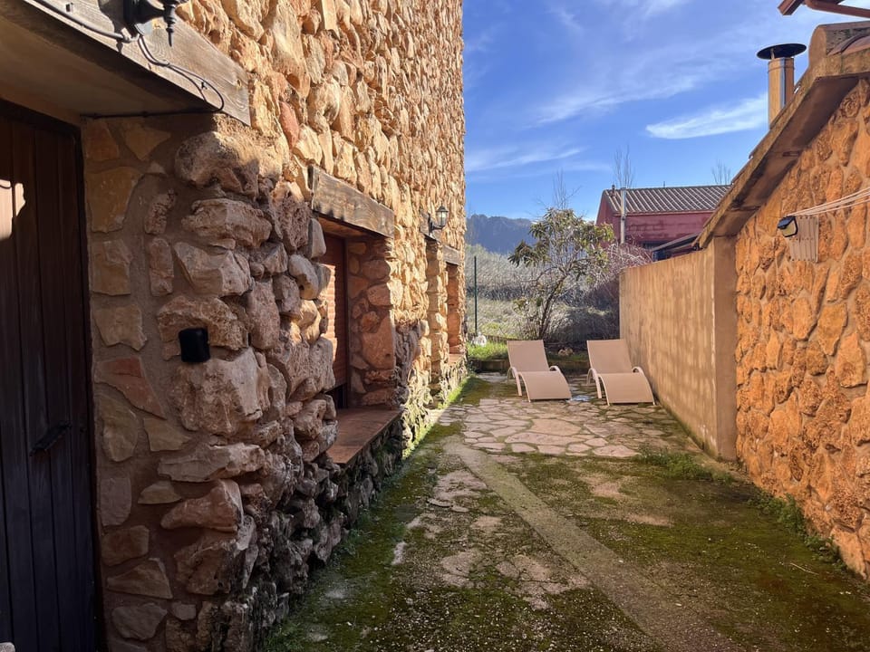 Patio, Garden