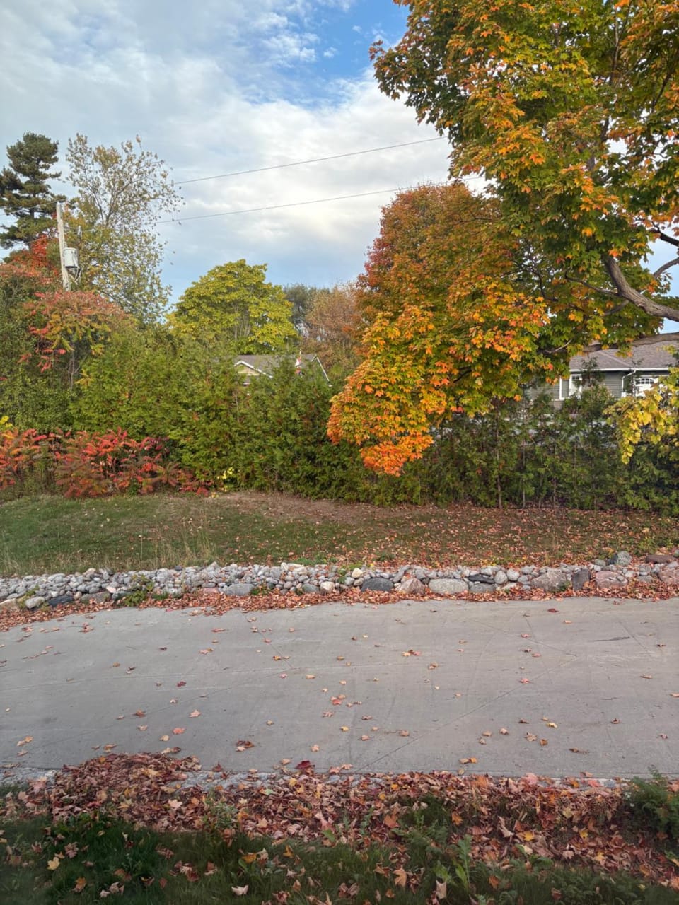 Property building, Natural landscape