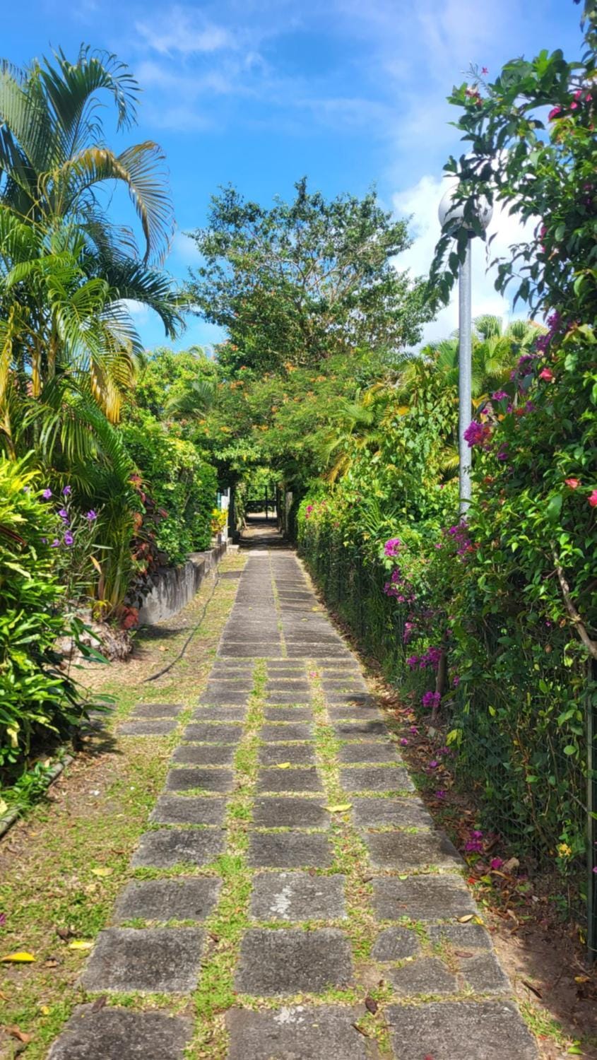 Garden view