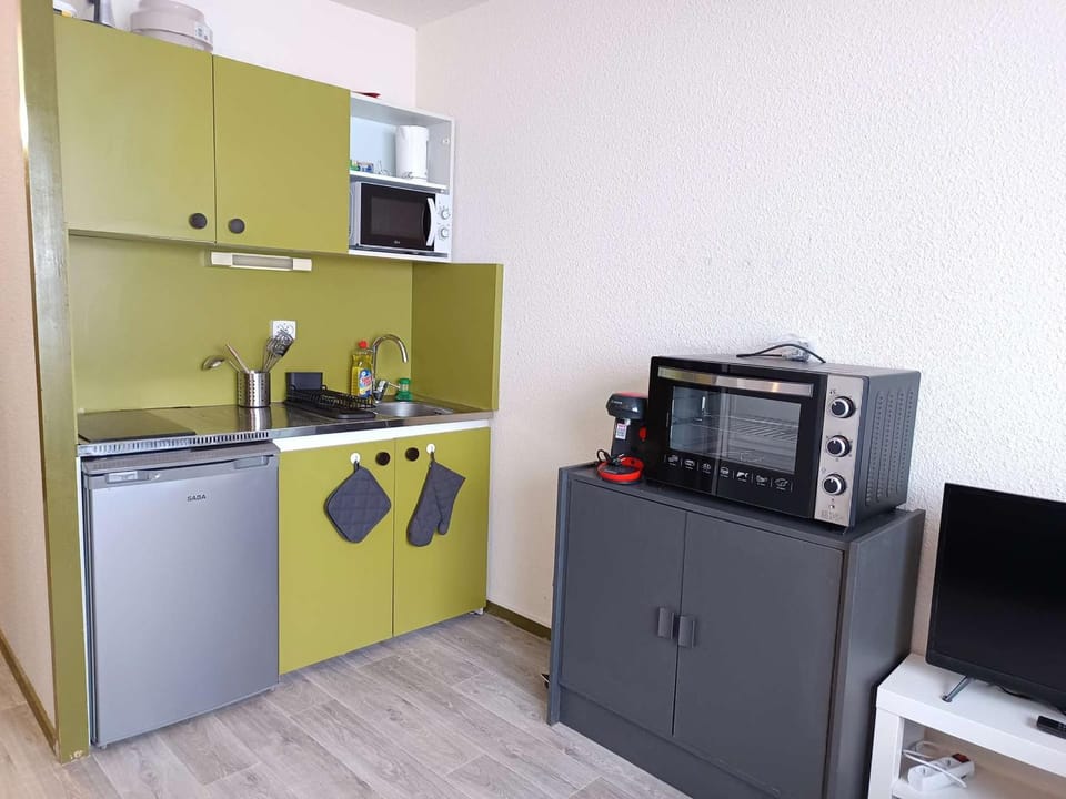 Studio 4 Pers Sud Aragnouet Balcon Ski - FR-1-457-399 Apartment in Saint-Lary-Soulan