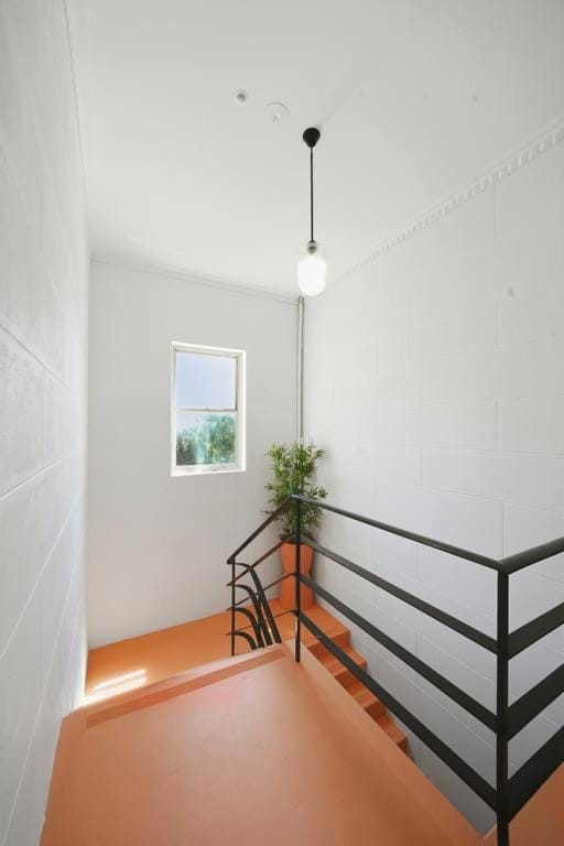 Belle Escapes - The Papilio Apartment in Moseley Street
