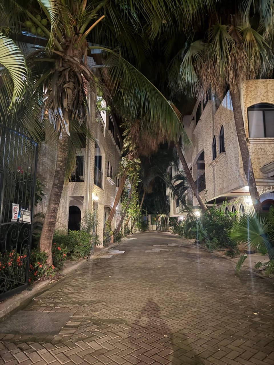 Property building, Night