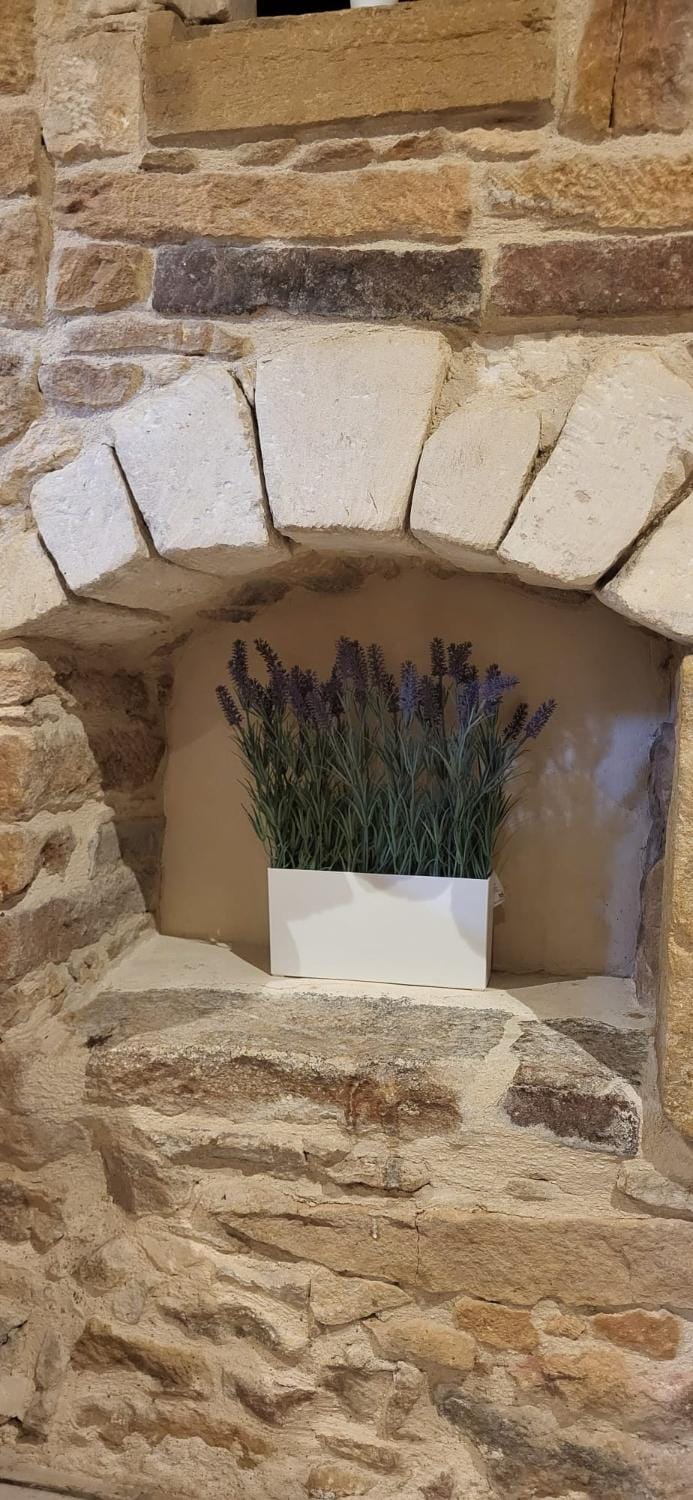 L'instant doré Apartment in Auvergne-Rhône-Alpes