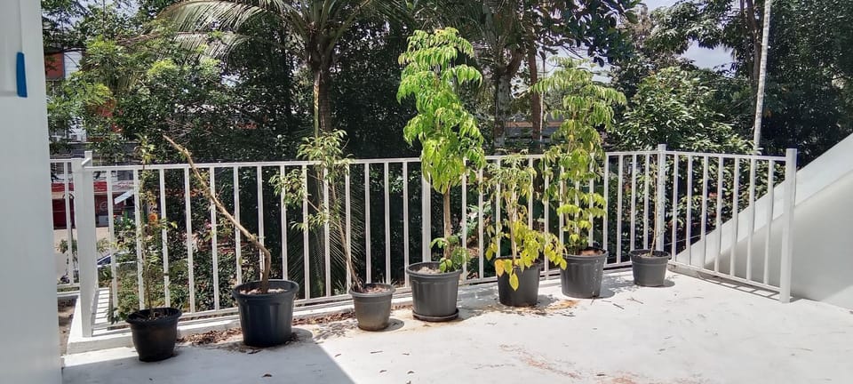 Garden, View (from property/room), Balcony/Terrace, Balcony/Terrace