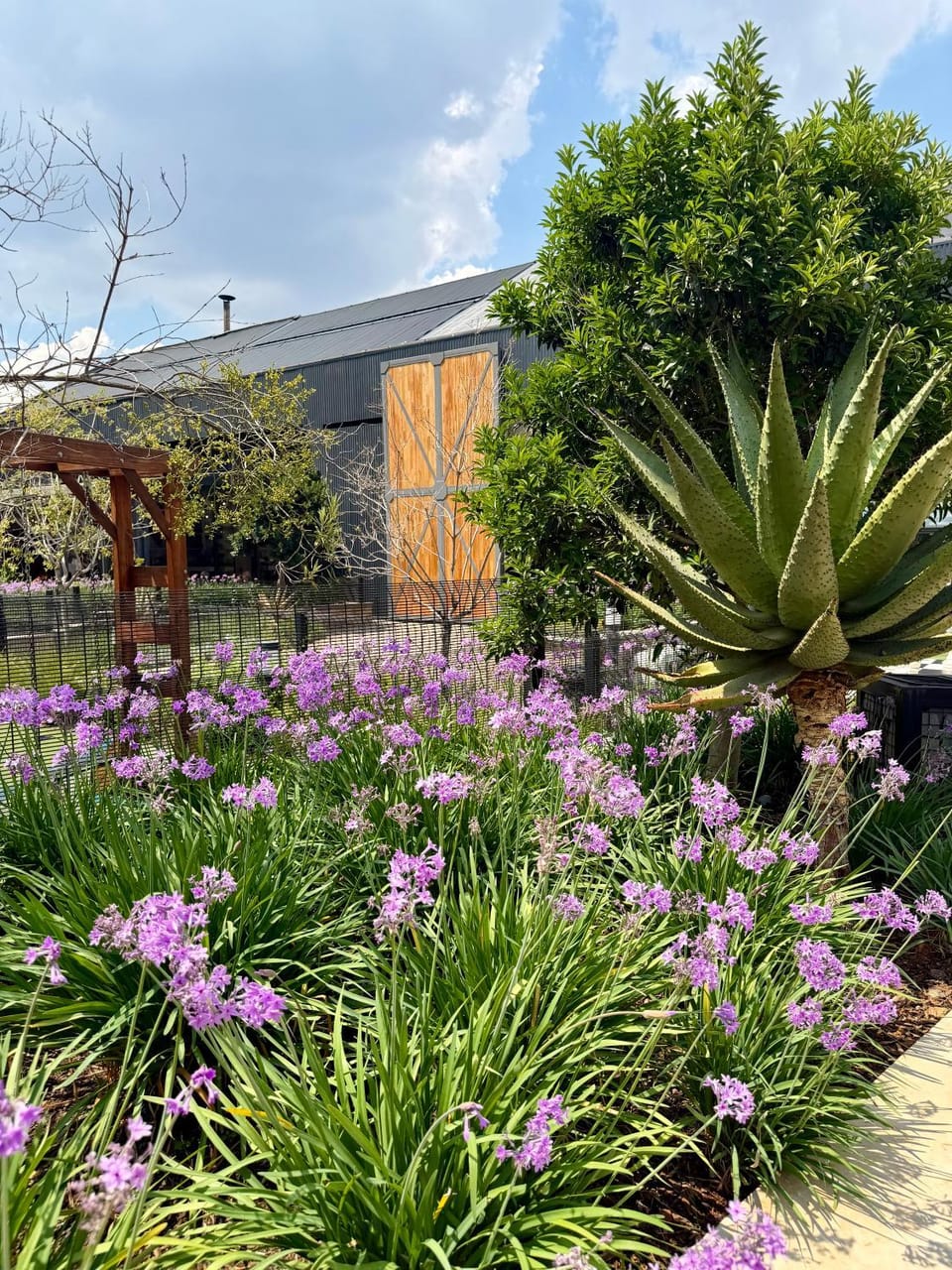 Thaba Eco Collection Apartment in Gauteng