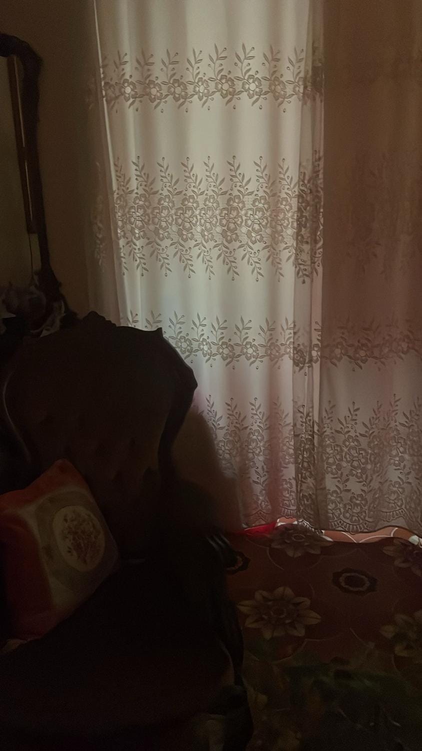 Stop Home Apartment in Bologna