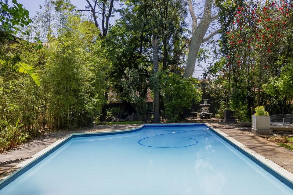 #Alimama Spaces Tranquil Oasis in The City Villa in Sandton