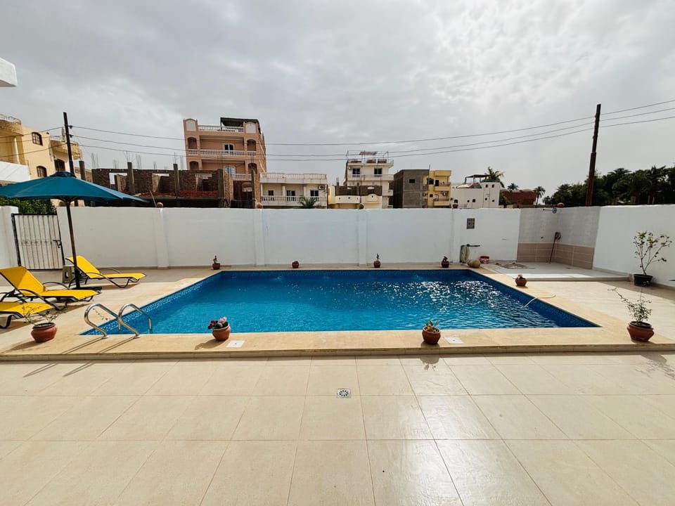 Day, Pool view, Swimming pool, sunbed
