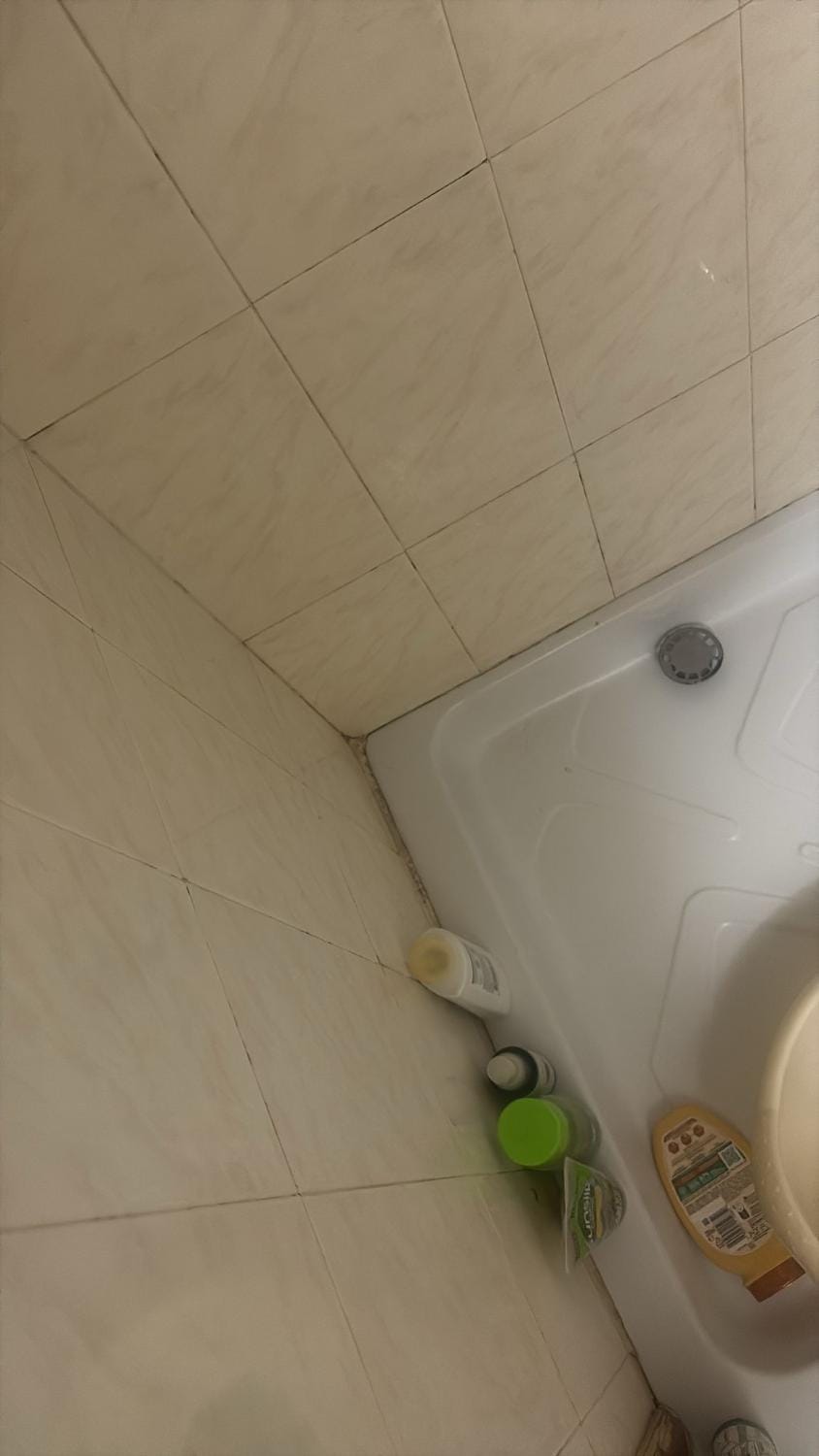 Bologna House Apartment in Bologna