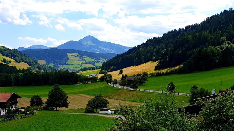 Natural landscape, Summer, Mountain view