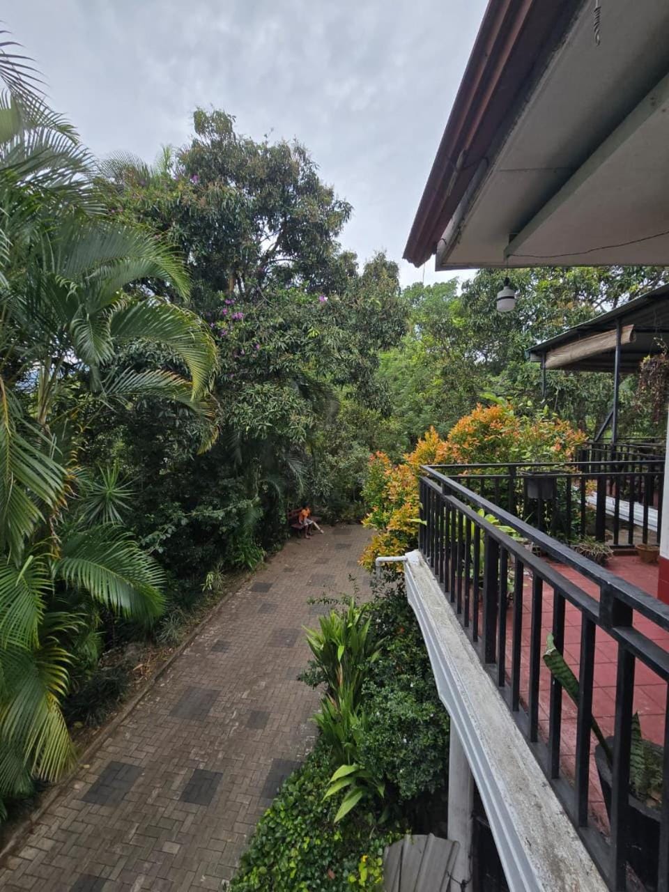 Hotel Blue Mount View Kandy Hotel in Kandy