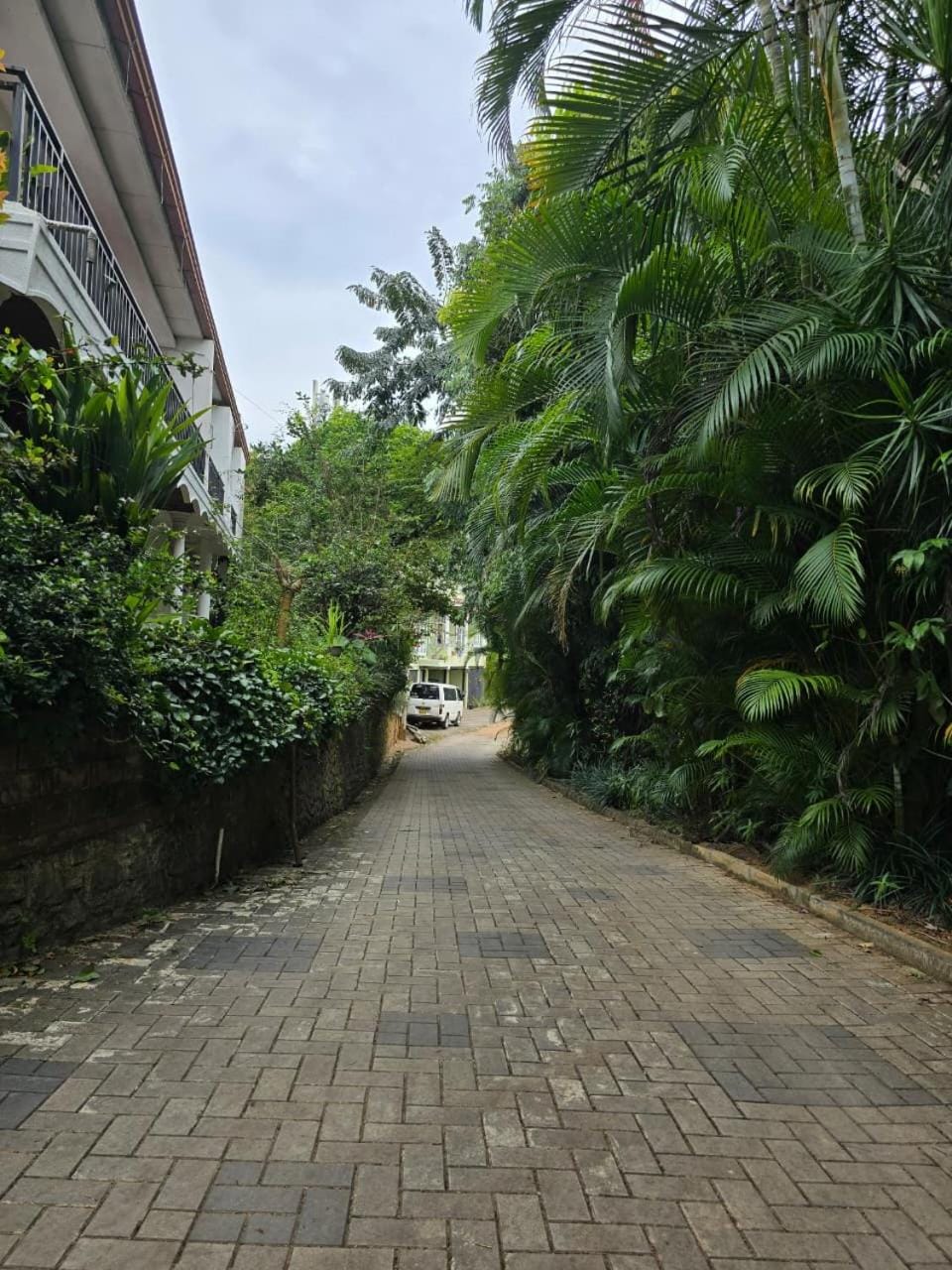 Hotel Blue Mount View Kandy Hotel in Kandy