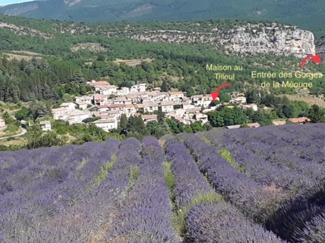 Maison au tilleul House in Provence-Alpes-Côte d'Azur