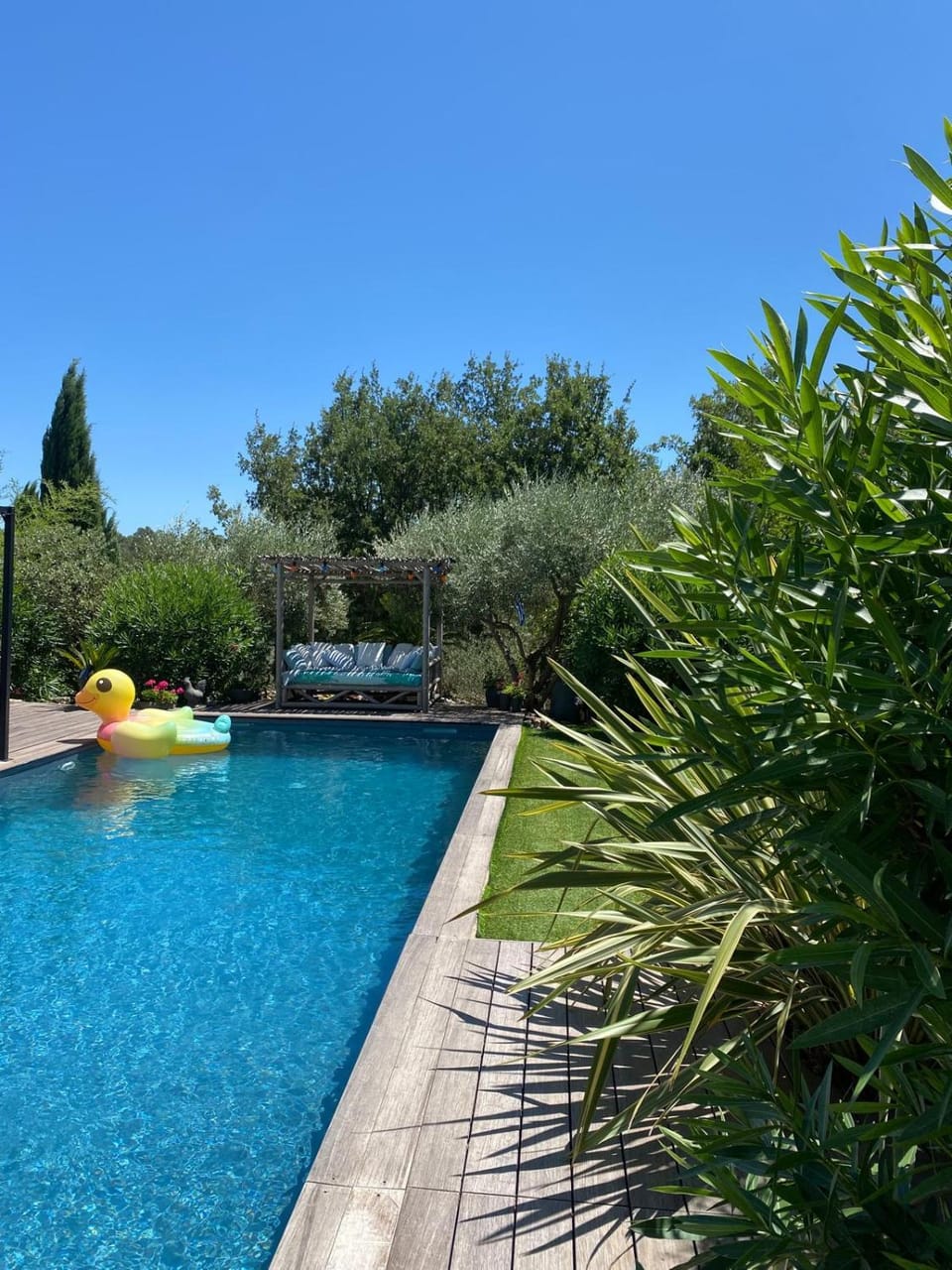 Pool view