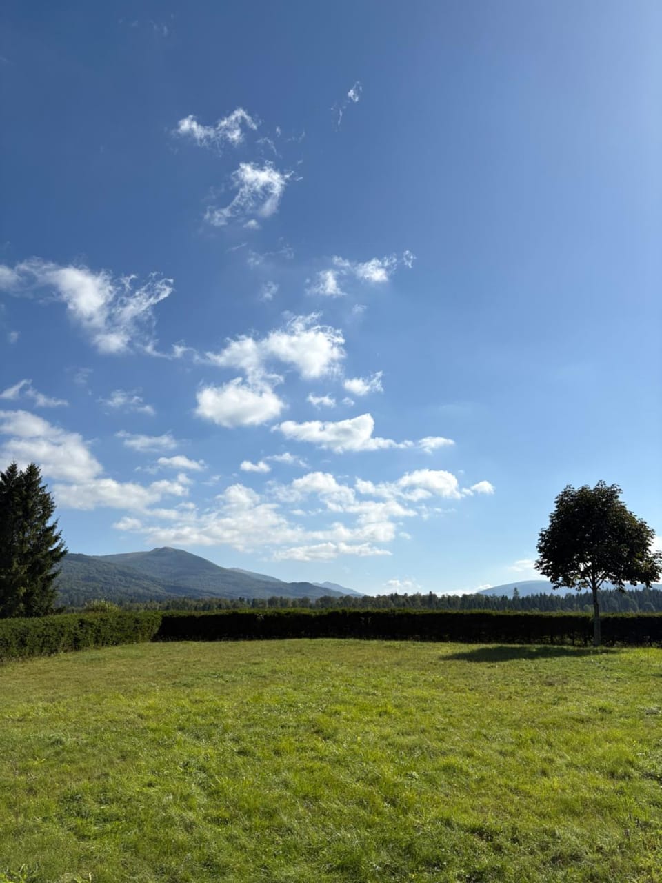 Garden, Hiking, Hiking, Garden view, Mountain view