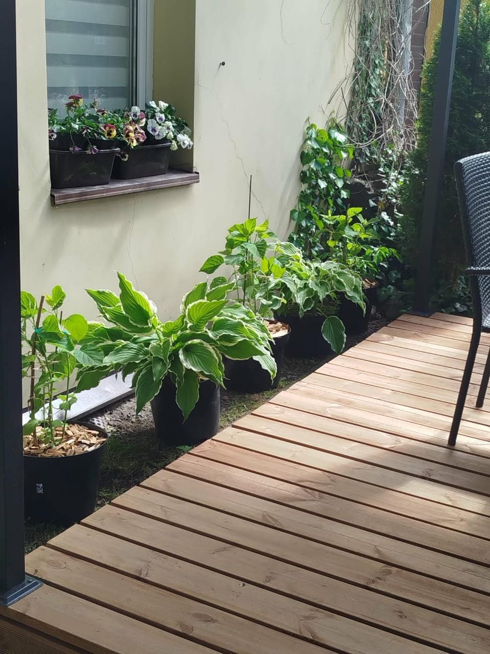 Patio, Garden, Garden view