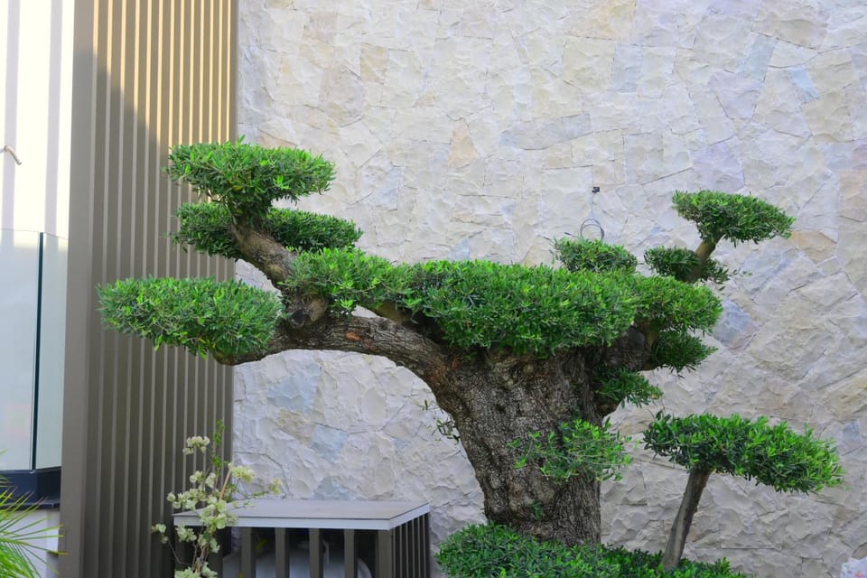 Garden, Decorative detail