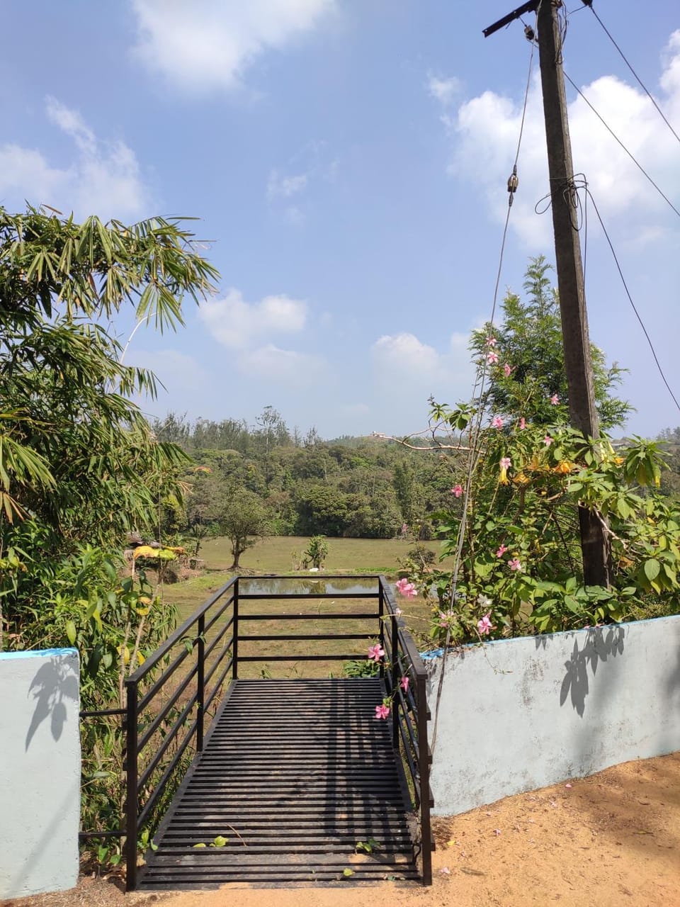 View (from property/room)