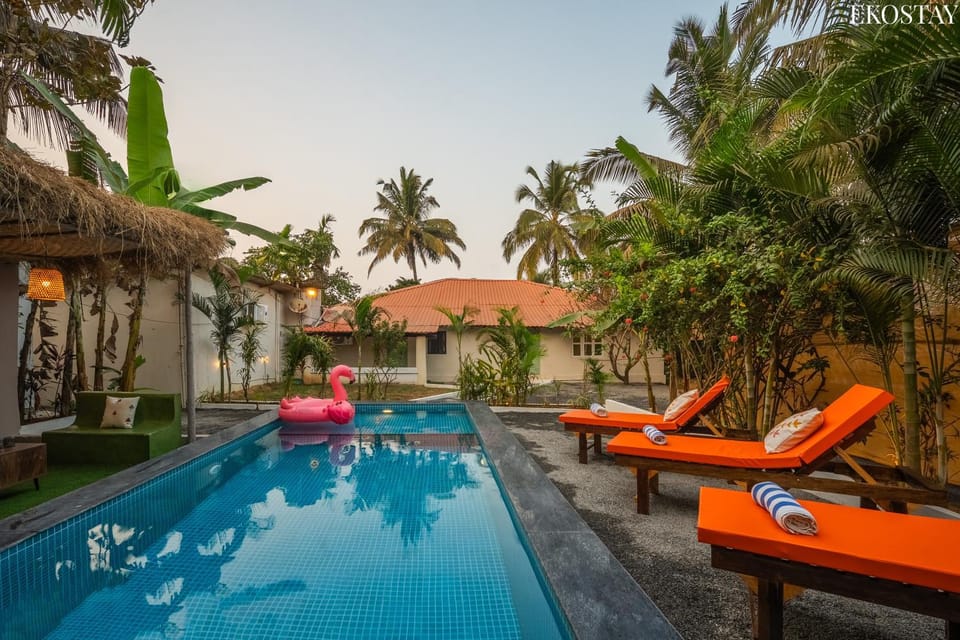 Day, Evening entertainment, Swimming pool