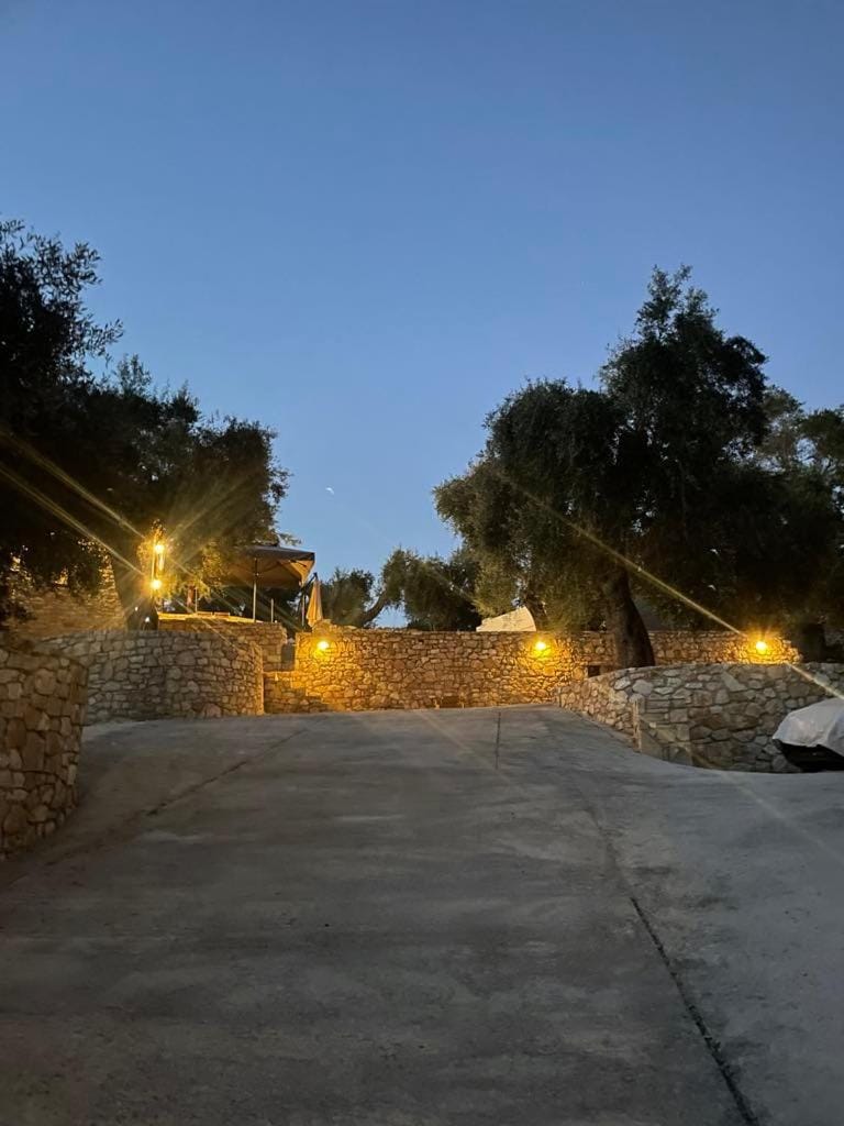 Night, Garden, Parking
