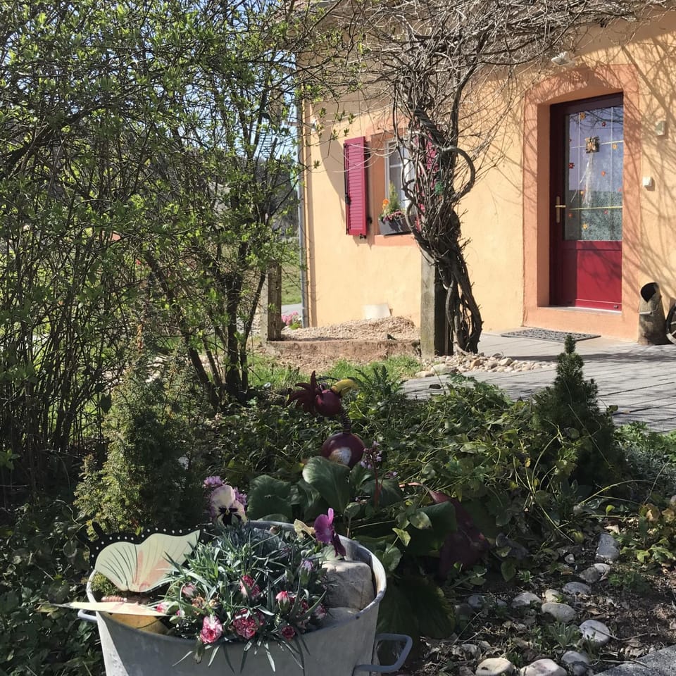 Property building, Garden