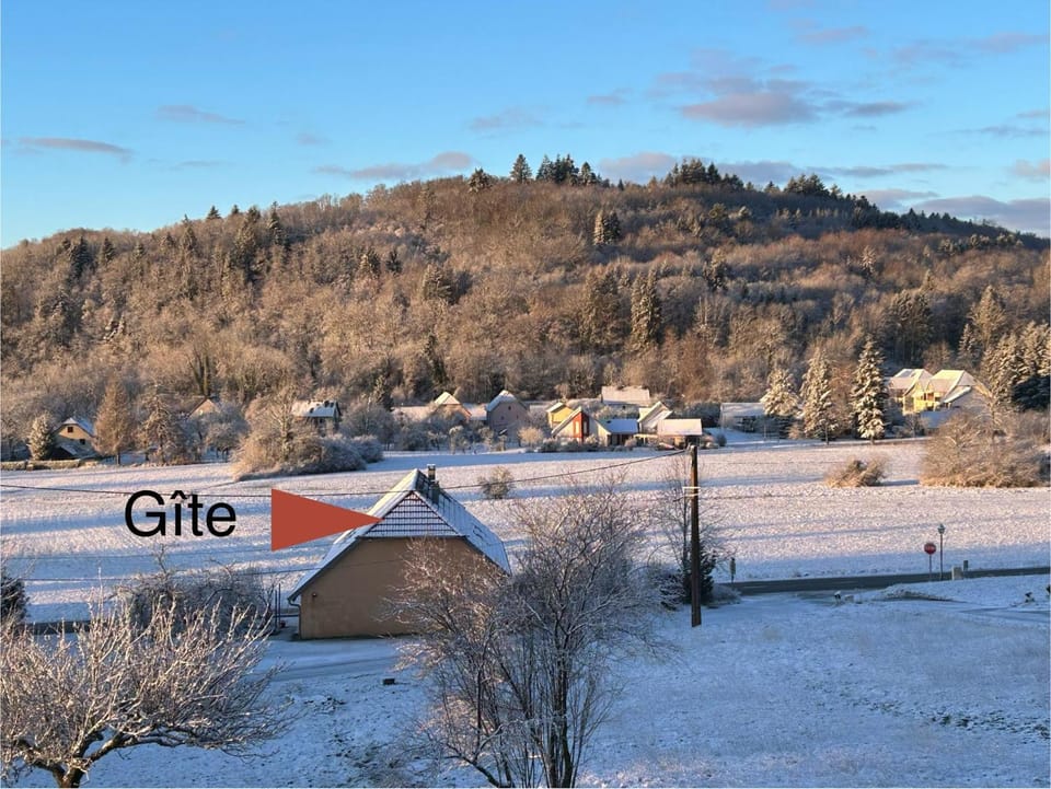 Neighbourhood, Winter, Street view
