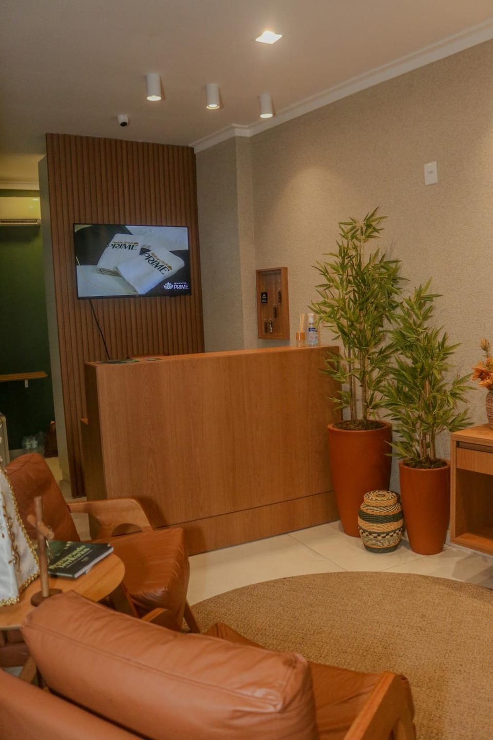 Living room, Lobby or reception