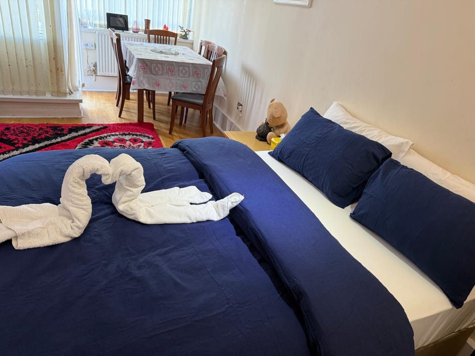Comfortable Apartment Apartment in London Borough of Hackney